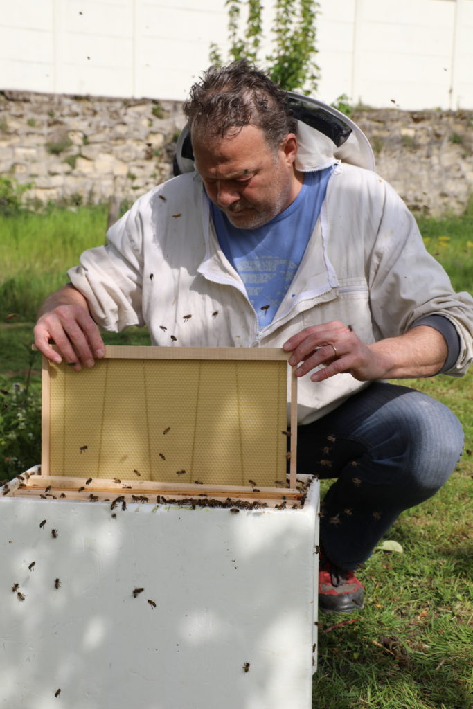 Un apiculteur s'occupe de sa ruche