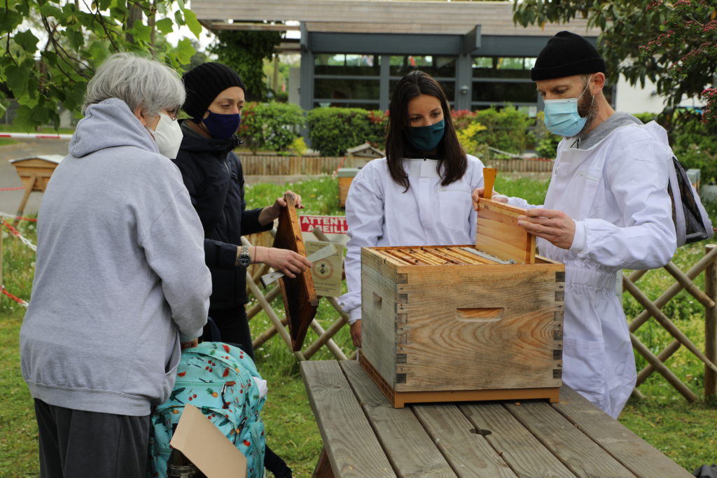 Les formations à l'apiculture de l'association HappyCulteur affichent complet chaque année. © Léa Guedj